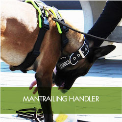 mantrailing-handler
