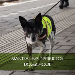 mantrailing instructor dogschool